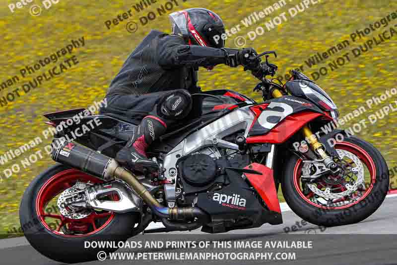 May 2024;motorbikes;no limits;peter wileman photography;portimao;portugal;trackday digital images